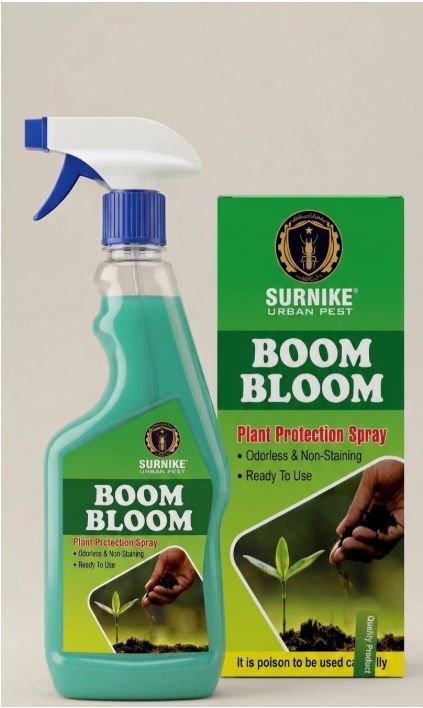 Bloom Bloom